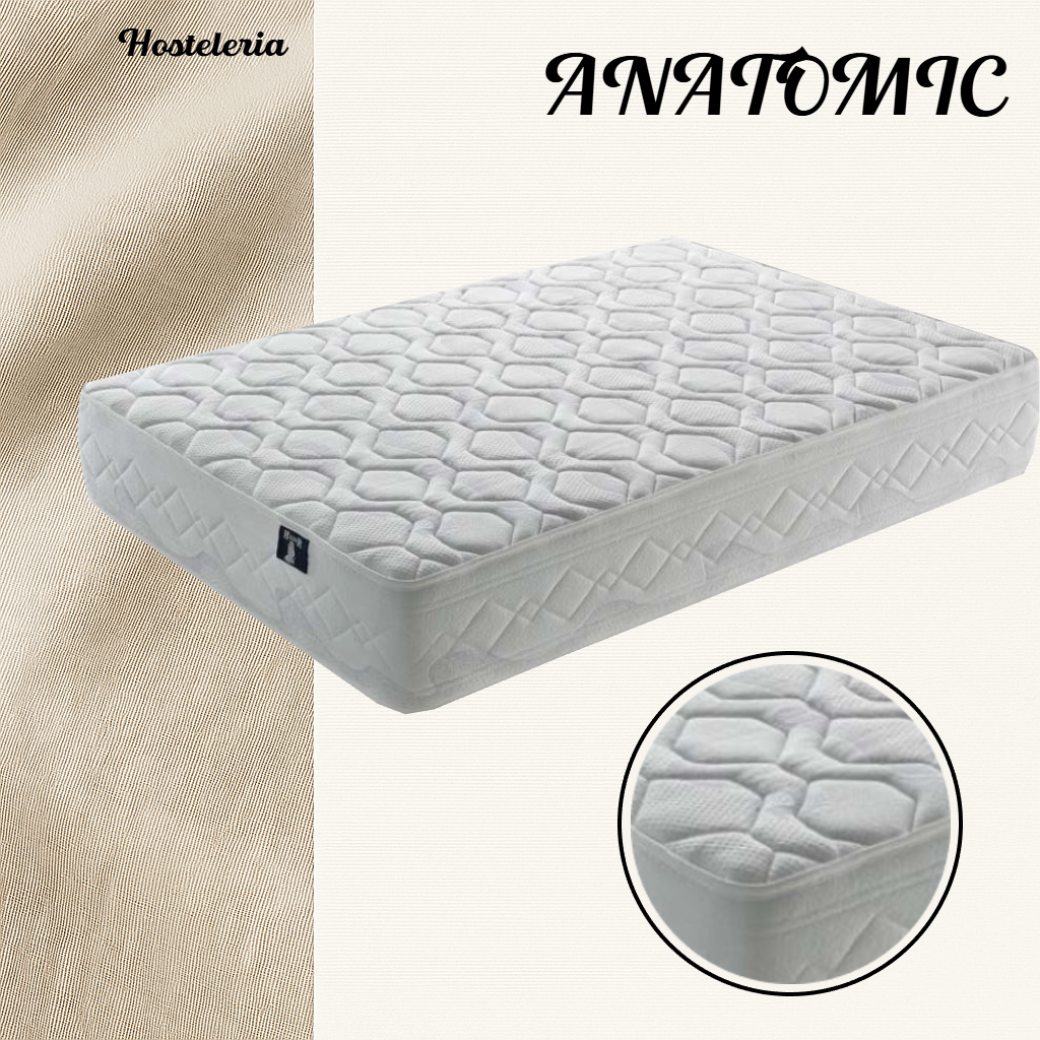Modelo-Anatomic